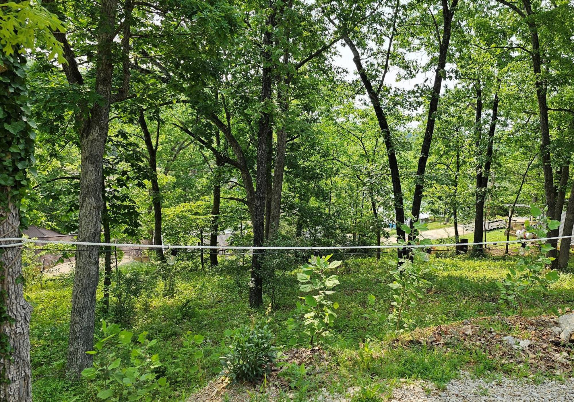 Holiday home Cool Valley Rest Rocky Mount
